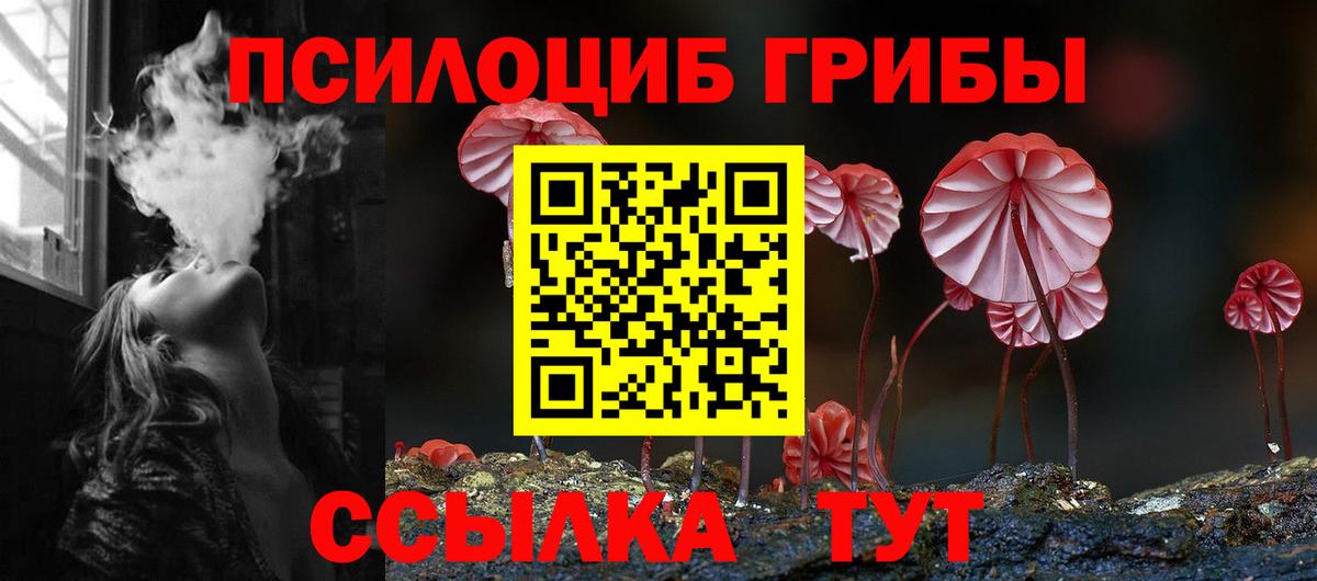 где можно купить наркотик  Вход с VPN  Галлюциногенные грибы Cubensis  Чистополь  Галлюциногенные грибы Magic Shrooms 